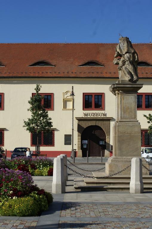 Villa Letna Brandys nad Labem-Stara Boleslav Ngoại thất bức ảnh